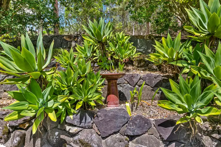 Second view of Homely house listing, 12 Suzen Court, Mooloolah Valley QLD 4553