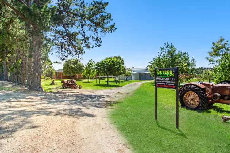 17 Almond Bush Street, Somerville VIC 3912