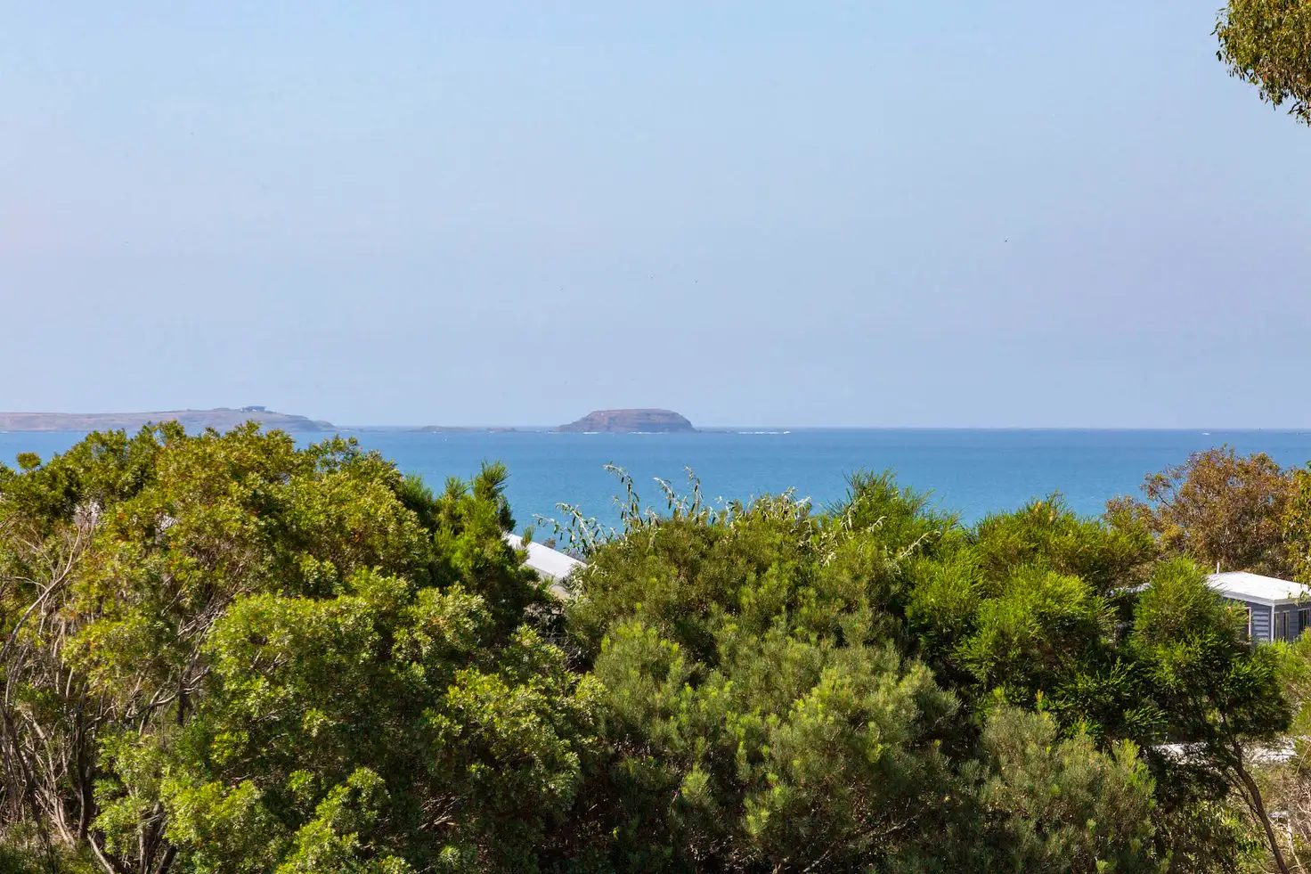 Main view of Homely rural property listing, 31 Seal Street, Point Leo VIC 3916