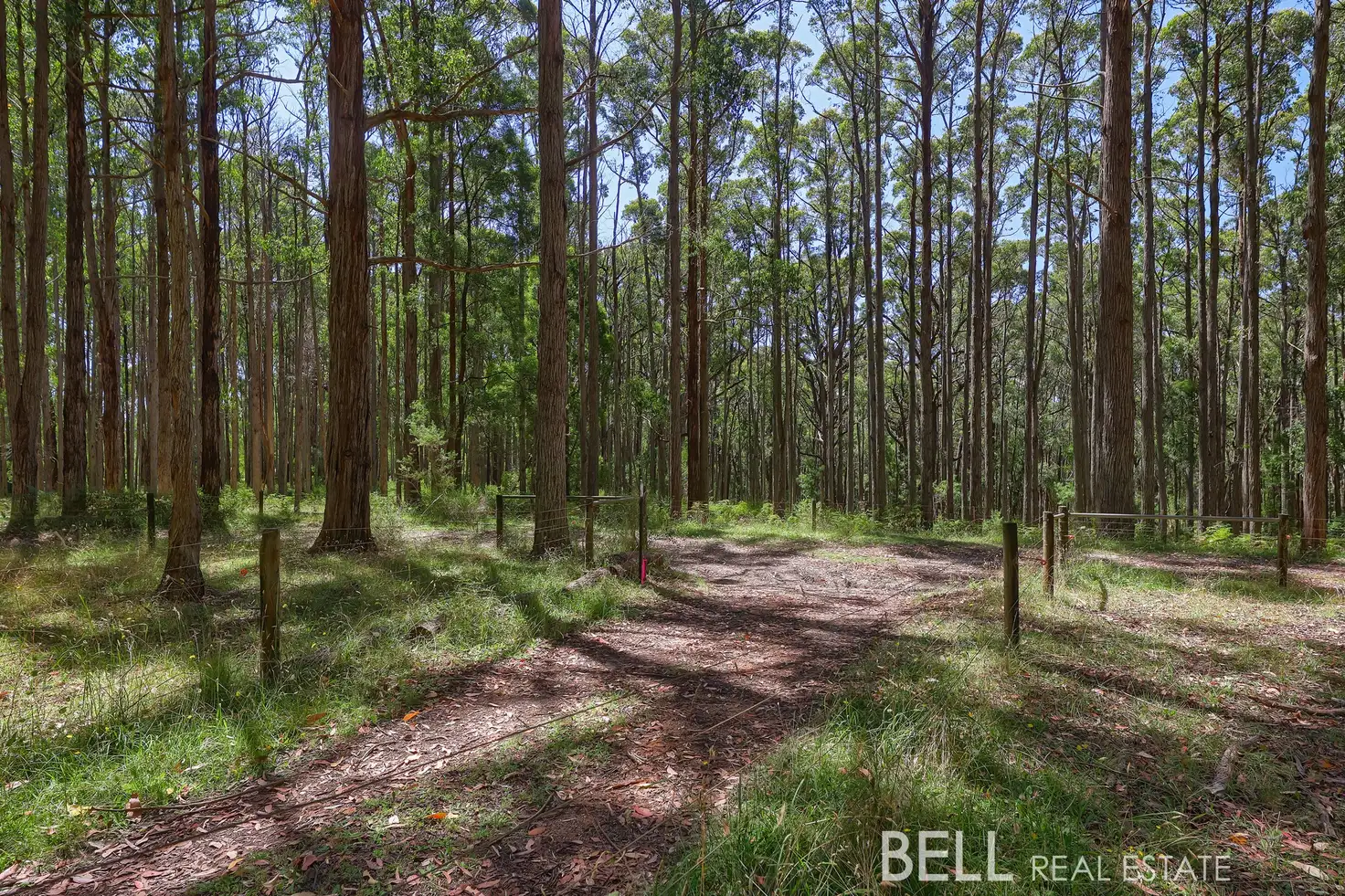 Main view of Homely land listing, LOT lot 1, 25 Boyd Road, Gembrook VIC 3783