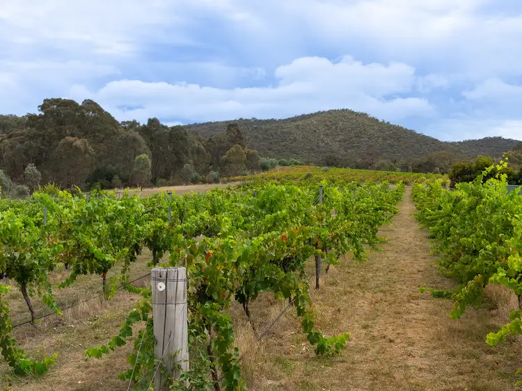 Fifth view of Homely rural property listing, 41 Greens Lane, Moonambel VIC 3478