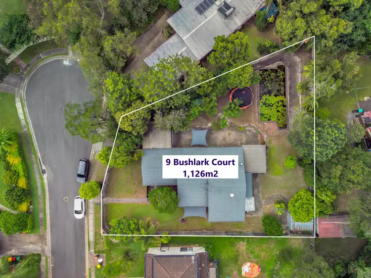 Main view of Homely house listing, 9 Bushlark Court, Bellbowrie QLD 4070