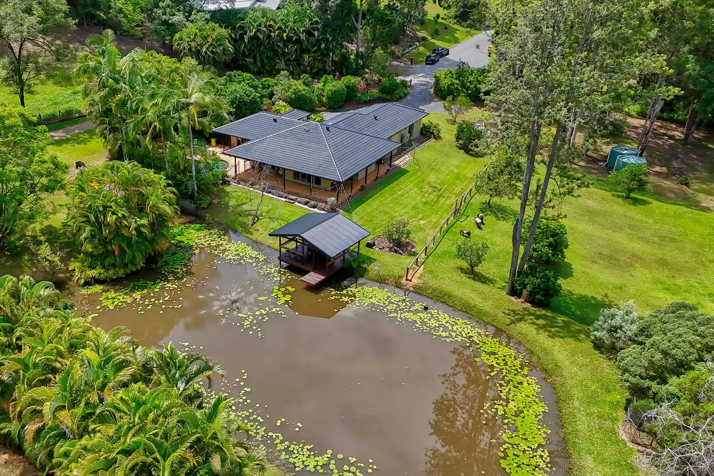 Main view of Homely house listing, 50 Lavender Close, Glenview QLD 4553