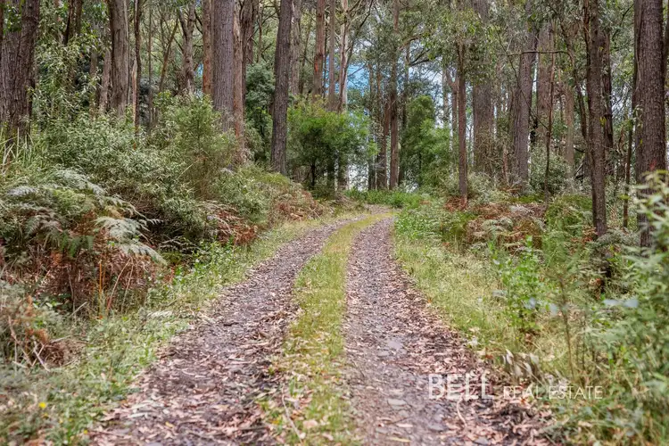 265 Gembrook Road, Gembrook VIC 3783