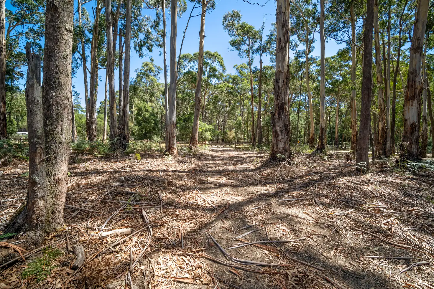 Main view of Homely land listing, 75 Gays Road, Wheatsheaf VIC 3461