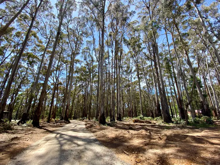 Second view of Homely land listing, 75 Gays Road, Wheatsheaf VIC 3461