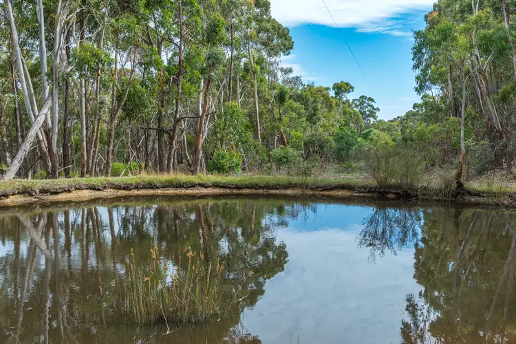 Third view of Homely rural property listing, 584 Feeneys Lane, Baynton VIC 3444