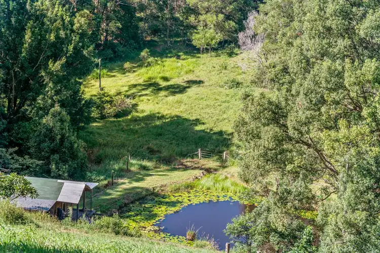 Third view of Homely rural property listing, 99 Jorgensen Road, Ridgewood QLD 4563