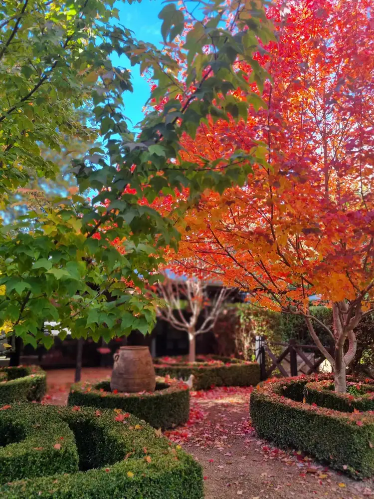 Second view of Homely house listing, 18 Cosmo Road, Trentham VIC 3458