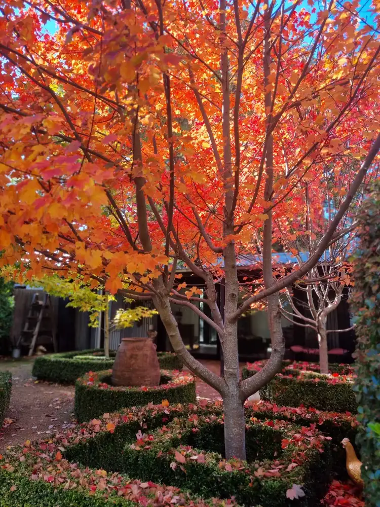 Third view of Homely house listing, 18 Cosmo Road, Trentham VIC 3458