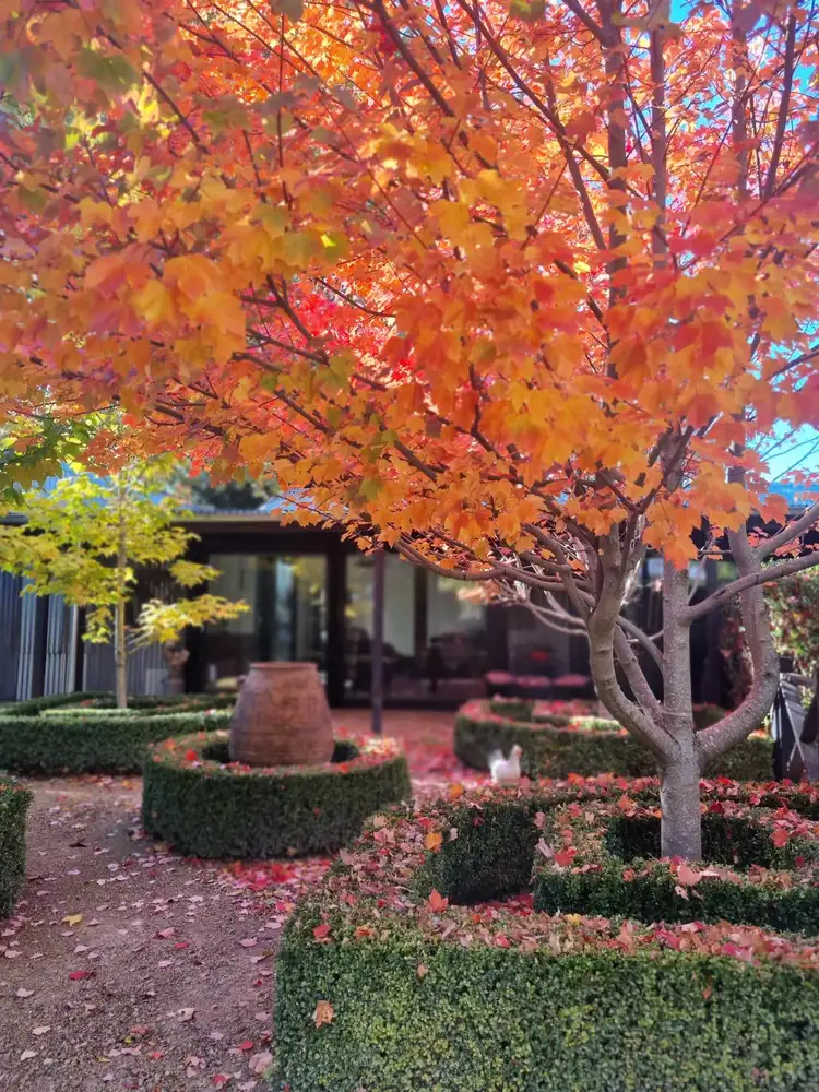 Fourth view of Homely house listing, 18 Cosmo Road, Trentham VIC 3458