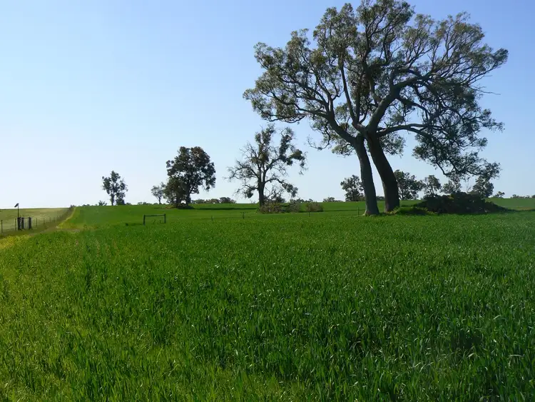 Sixth view of Homely land listing, LOT Lot, 6 Six Mile Road, Mayanup WA 6244