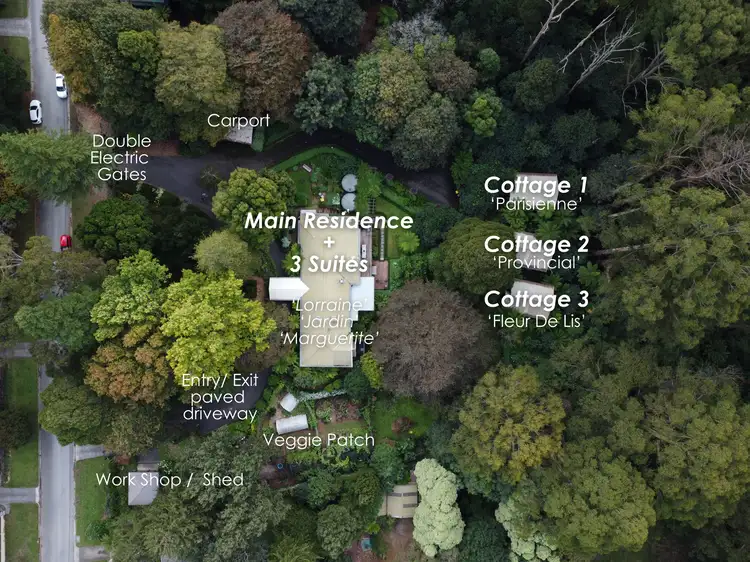Second view of Homely house listing, 77 Hilton Road, Sassafras VIC 3787