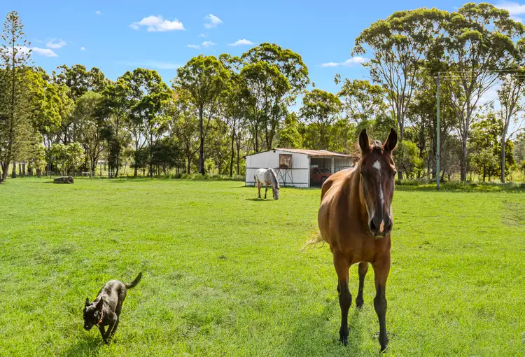 Second view of Homely house listing, 194 Beachmere Road, Caboolture QLD 4510