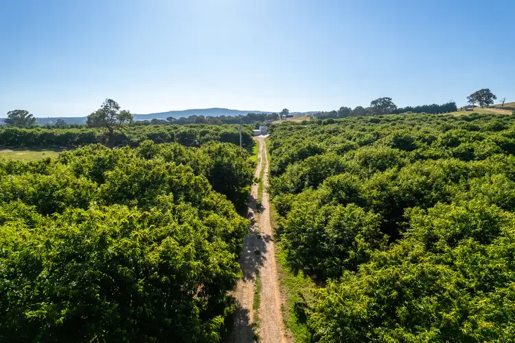 Main view of Homely rural property listing, 19 Zig Zag Road, Beechworth VIC 3747