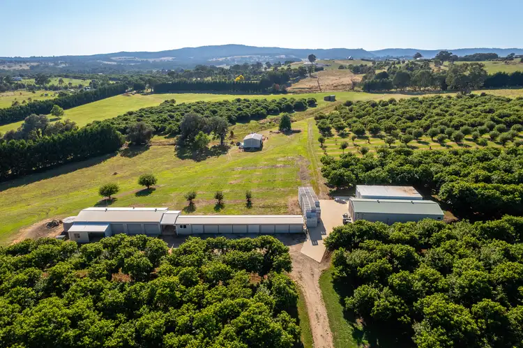Second view of Homely rural property listing, 19 Zig Zag Road, Beechworth VIC 3747