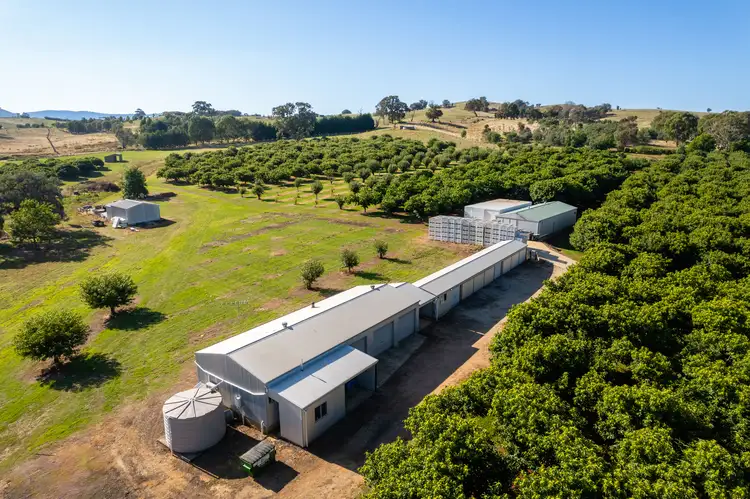 Third view of Homely rural property listing, 19 Zig Zag Road, Beechworth VIC 3747