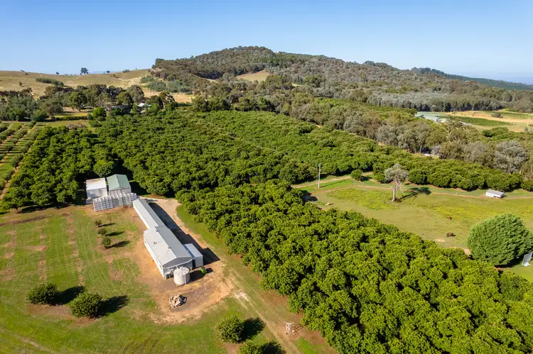 Fourth view of Homely rural property listing, 19 Zig Zag Road, Beechworth VIC 3747
