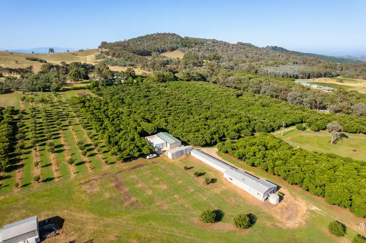 Fifth view of Homely rural property listing, 19 Zig Zag Road, Beechworth VIC 3747