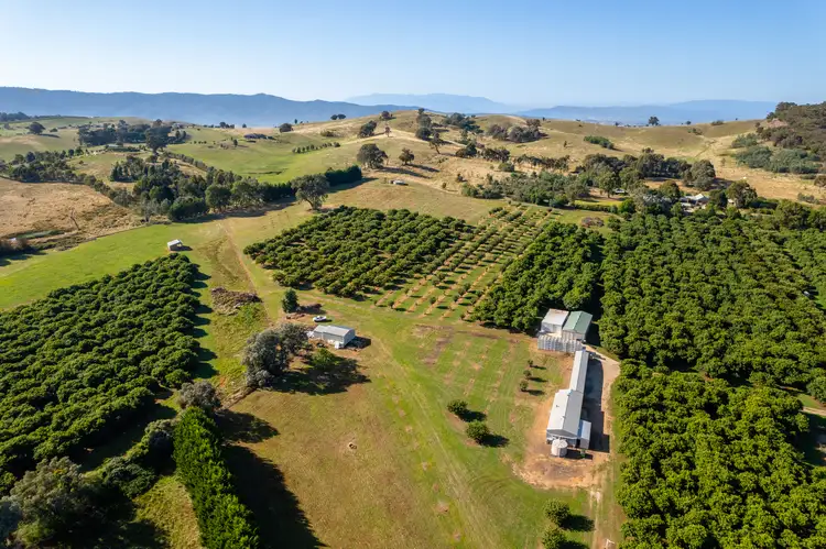 Sixth view of Homely rural property listing, 19 Zig Zag Road, Beechworth VIC 3747
