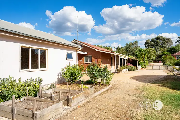 Second view of Homely house listing, 59 Berkeley Street, Castlemaine VIC 3450