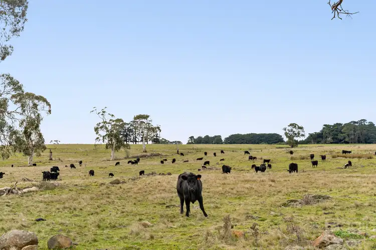 Fourth view of Homely land listing, 161 Langs Road, Blampied VIC 3364