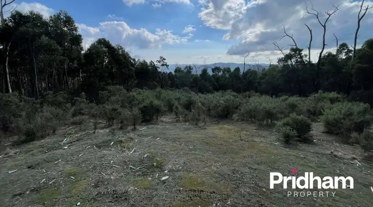 Seventh view of Homely land listing, 3004 Whittlesea Yea Road, Flowerdale VIC 3717