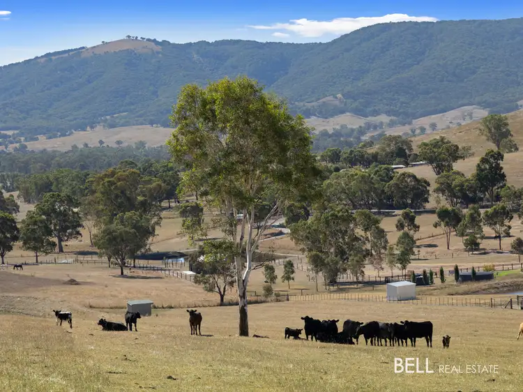 74 Mcleishs Road, Killingworth VIC 3717