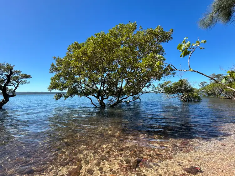 Third view of Homely house listing, 129 Beelong Street, Macleay Island QLD 4184