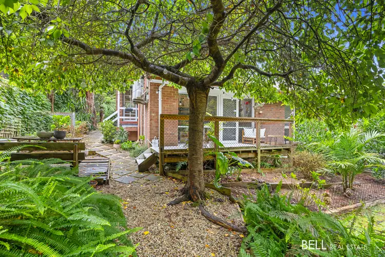 Main view of Homely house listing, 50 Wonga Road, Millgrove VIC 3799
