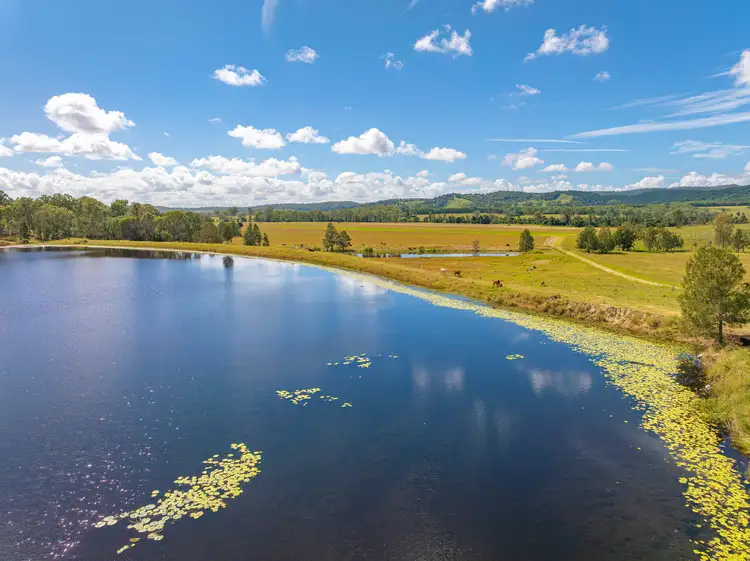 Third view of Homely rural property listing, 499 Abel Road, Lower Wonga QLD 4570