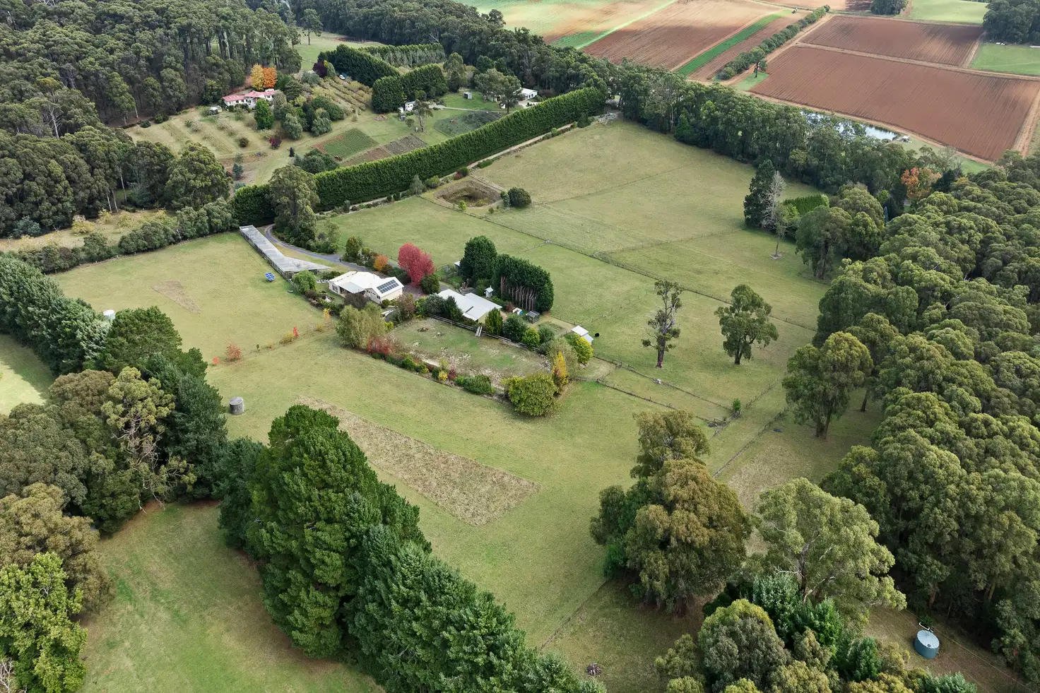 Main view of Homely rural property listing, 1907 Healesville Kinglake Road, Toolangi VIC 3777