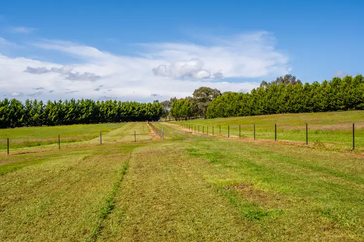 Seventh view of Homely land listing, 3 Ahrens Court, Beechworth VIC 3747
