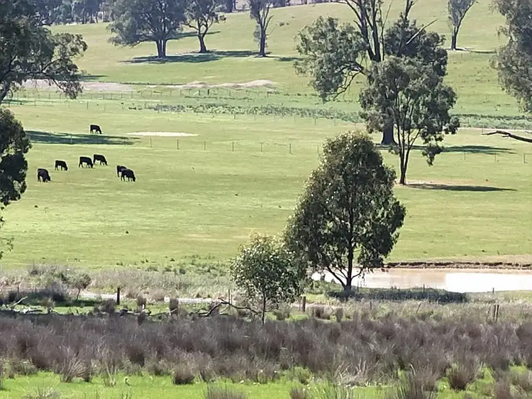 Second view of Homely rural property listing, 490 Feltrim Road, Earlston VIC 3669