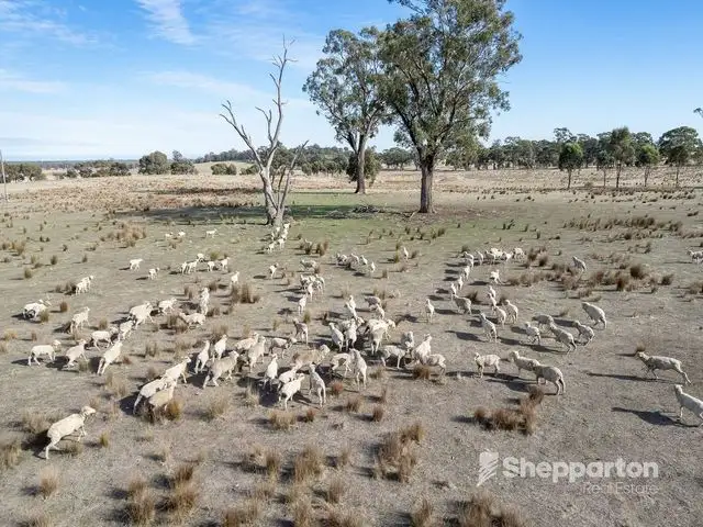 Fourth view of Homely rural property listing, 490 Feltrim Road, Earlston VIC 3669
