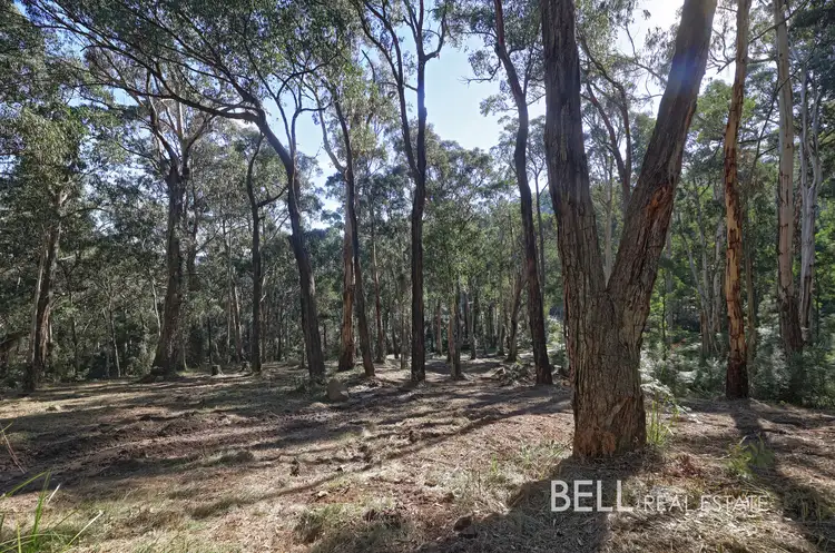 33 Selby Aura Road, Menzies Creek VIC 3159