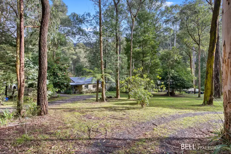 Main view of Homely house listing, 31 Fisherman Drive, Reefton VIC 3799