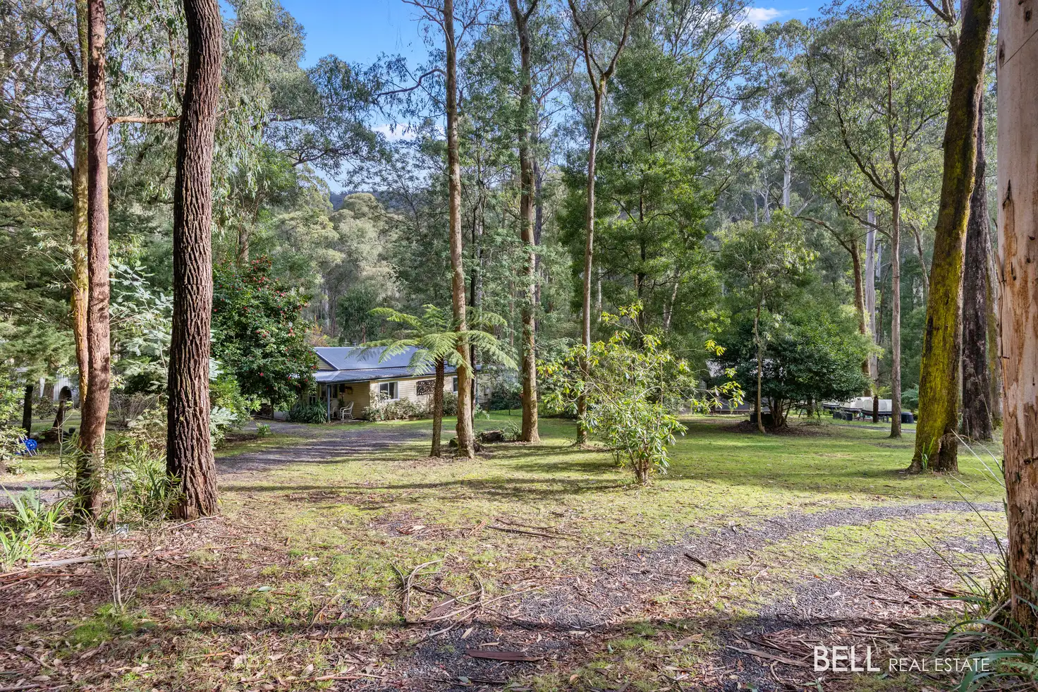 Main view of Homely house listing, 31 Fisherman Drive, Reefton VIC 3799