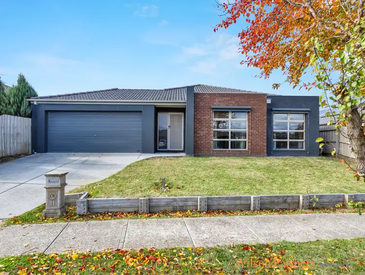 Main view of Homely house listing, 11 Lauricella Drive, Wallan VIC 3756