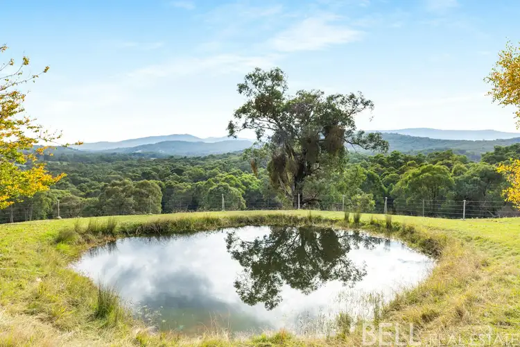 Main view of Homely rural property listing, 110 Yellowgum Road, Hoddles Creek VIC 3139