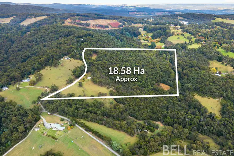 Second view of Homely rural property listing, 110 Yellowgum Road, Hoddles Creek VIC 3139