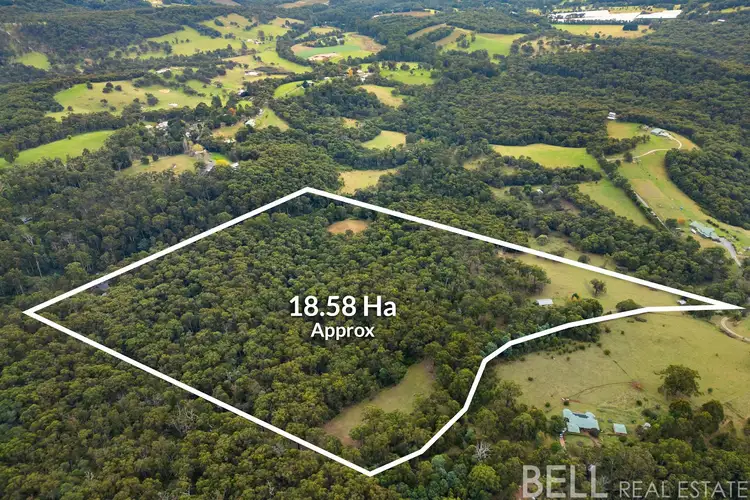 Third view of Homely rural property listing, 110 Yellowgum Road, Hoddles Creek VIC 3139