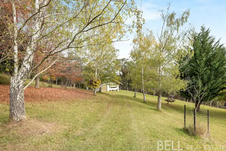 Fifth view of Homely rural property listing, 110 Yellowgum Road, Hoddles Creek VIC 3139