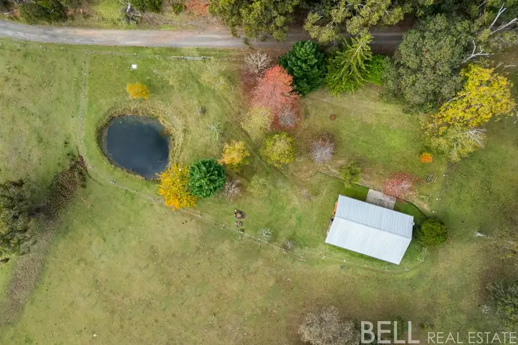 Sixth view of Homely rural property listing, 110 Yellowgum Road, Hoddles Creek VIC 3139