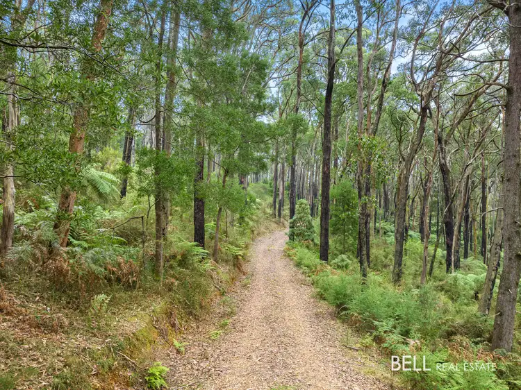 Main view of Homely rural property listing, 100 Banksia Court, Castella VIC 3777