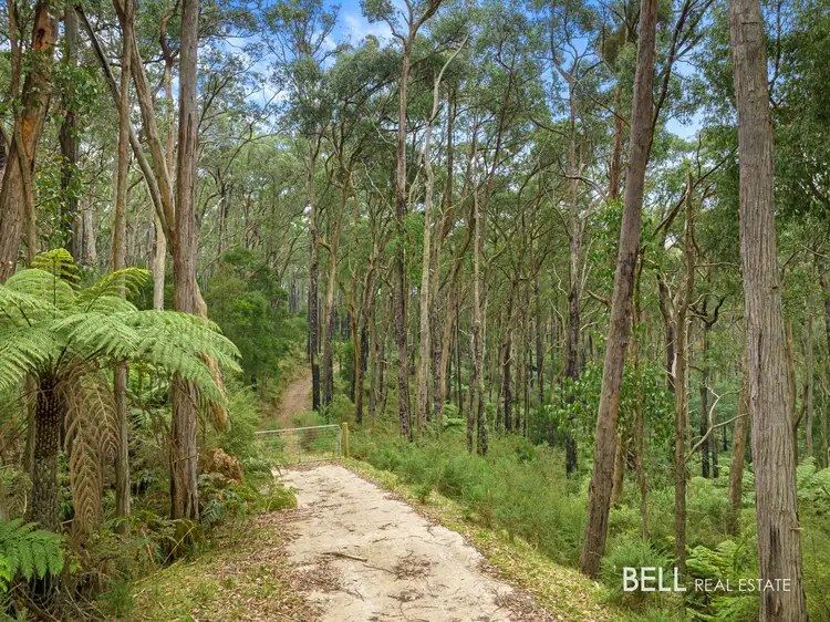 Fourth view of Homely rural property listing, 100 Banksia Court, Castella VIC 3777