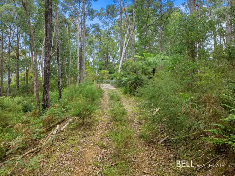 Fifth view of Homely rural property listing, 100 Banksia Court, Castella VIC 3777