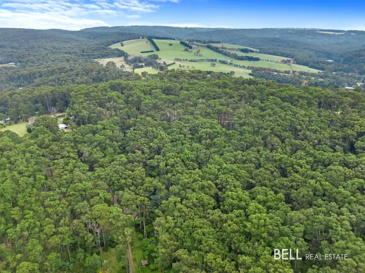 Seventh view of Homely rural property listing, 100 Banksia Court, Castella VIC 3777