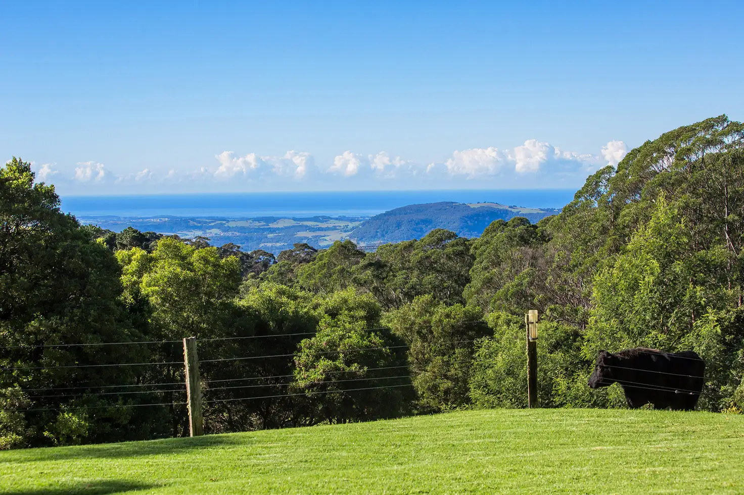 Main view of Homely house listing, 92 Mcguinness Drive, Mount Murray NSW 2577