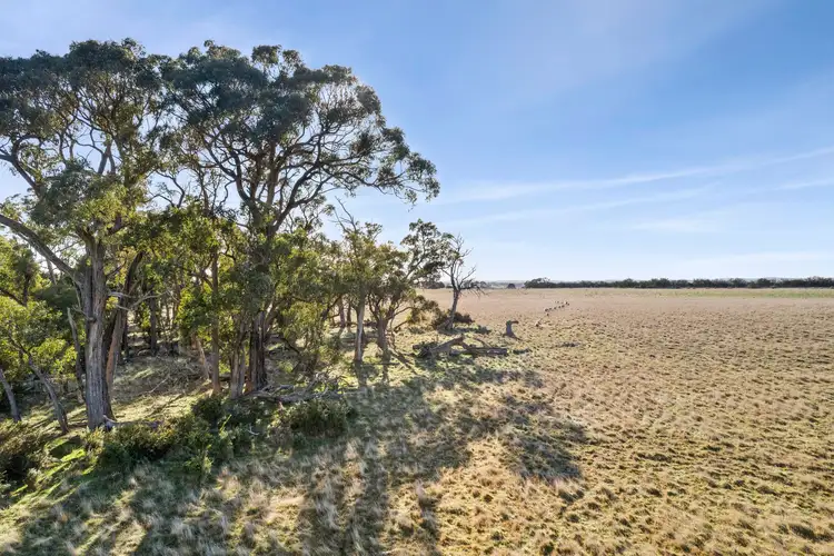 Fifth view of Homely land listing, LOT CA 6 & CA 7, 119 Honeysuckle Road, Lauriston VIC 3444